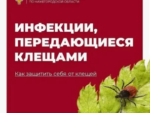 Об эпидемиологической ситуации по инфекциям, передающимся клещами
