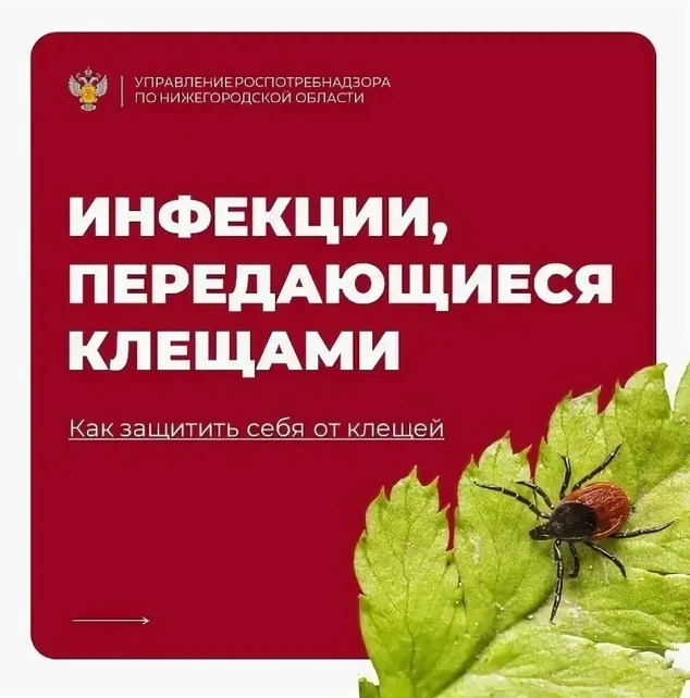 Об эпидемиологической ситуации по инфекциям, передающимся клещами