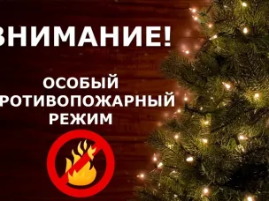 Внимание: особый противопожарный режим вводится на территории Нижегородской области!