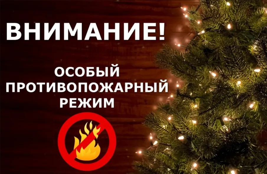 Внимание: особый противопожарный режим вводится на территории Нижегородской области!