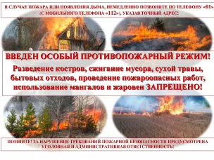 Напоминаем, что  с  22 апреля 2024 года на территории Нижегородской области установлен особый противопожарный режим.