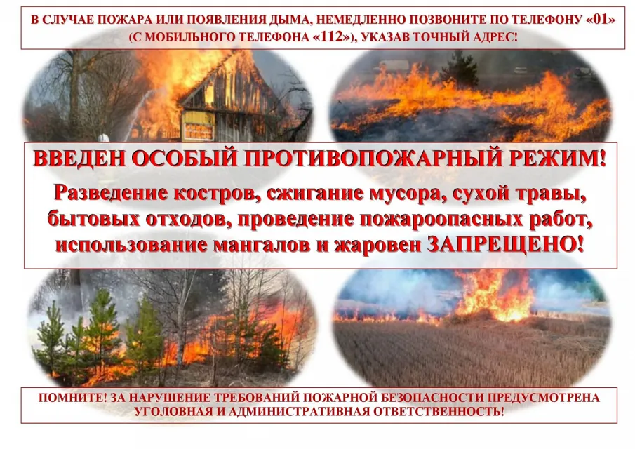 Напоминаем, что  с  22 апреля 2024 года на территории Нижегородской области установлен особый противопожарный режим.