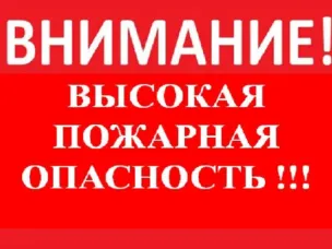 По данным ФГБУ «Верхне-Волжское УГМС», в период с10 июля по 12 июля 2024г. местами по Нижегородской области ожидается высокая (4 класс) пожароопасность лесов и торфяников.