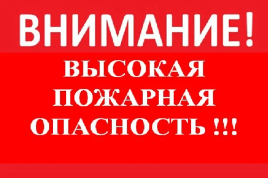 По данным ФГБУ «Верхне-Волжское УГМС», в период с10 июля по 12 июля 2024г. местами по Нижегородской области ожидается высокая (4 класс) пожароопасность лесов и торфяников.