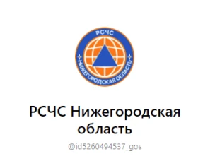 В мессенджере МАКС Создан канал «РСЧС Нижегородская область»