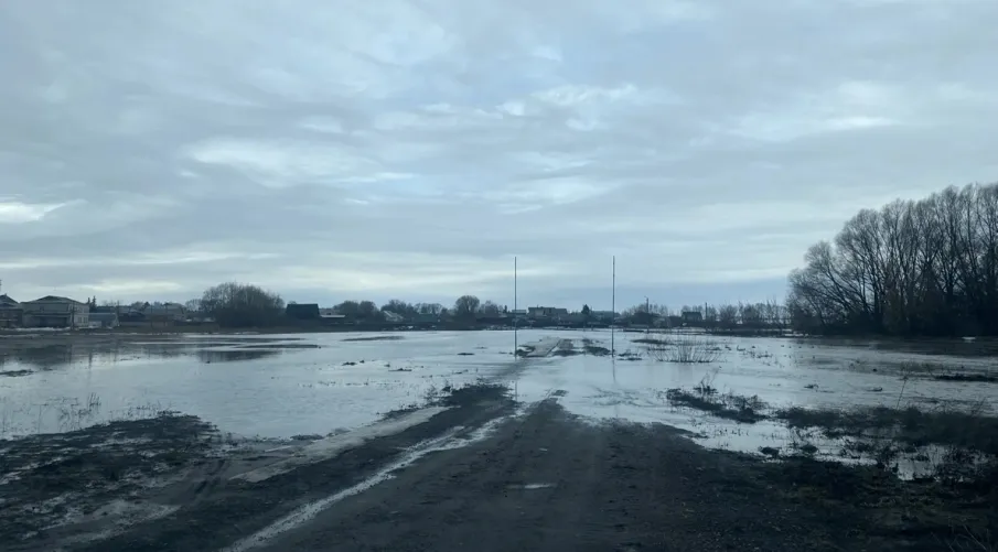 "Повышенная готовность"
