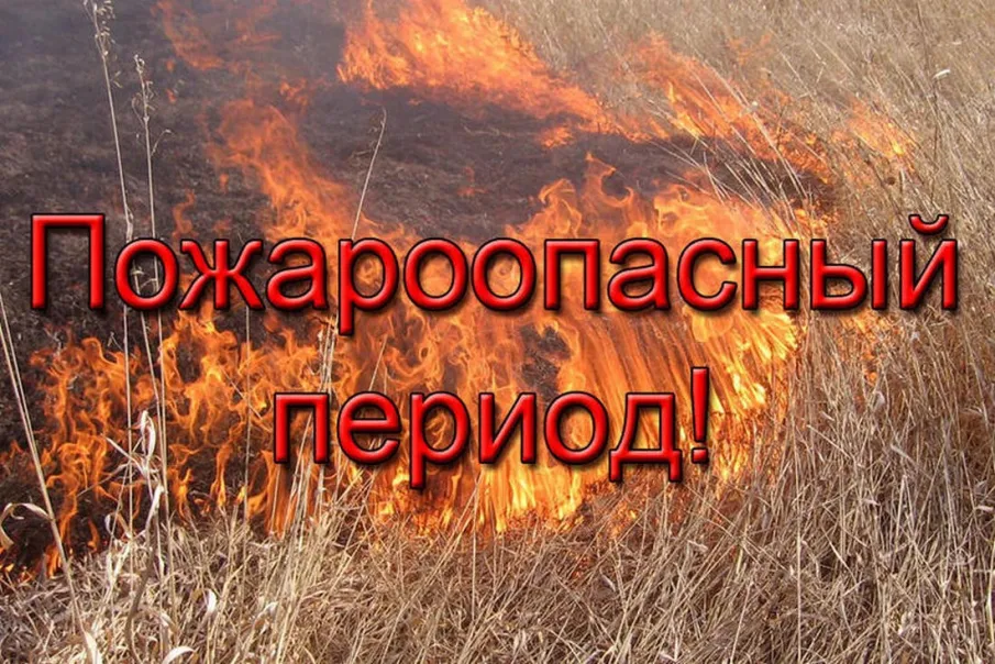 Прогноз по пожароопасности