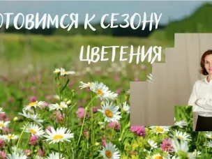 Готовимся к сезону цветения