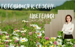 Готовимся к сезону цветения