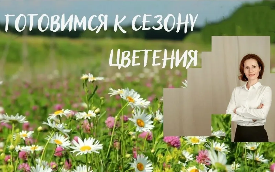 Готовимся к сезону цветения