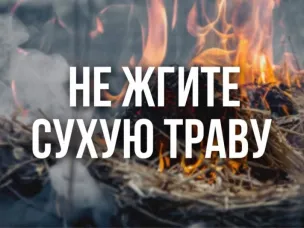 НЕ ЖГИТЕ СУХУЮ ТРАВУ!