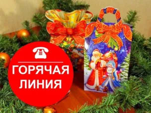 Роспотребнадзор запускает горячую линию по вопросам качества и безопасности детских товаров, а также выбору новогодних подарков